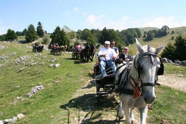Campeggio Branchetto Hotel Bosco Chiesanuova Buitenkant foto