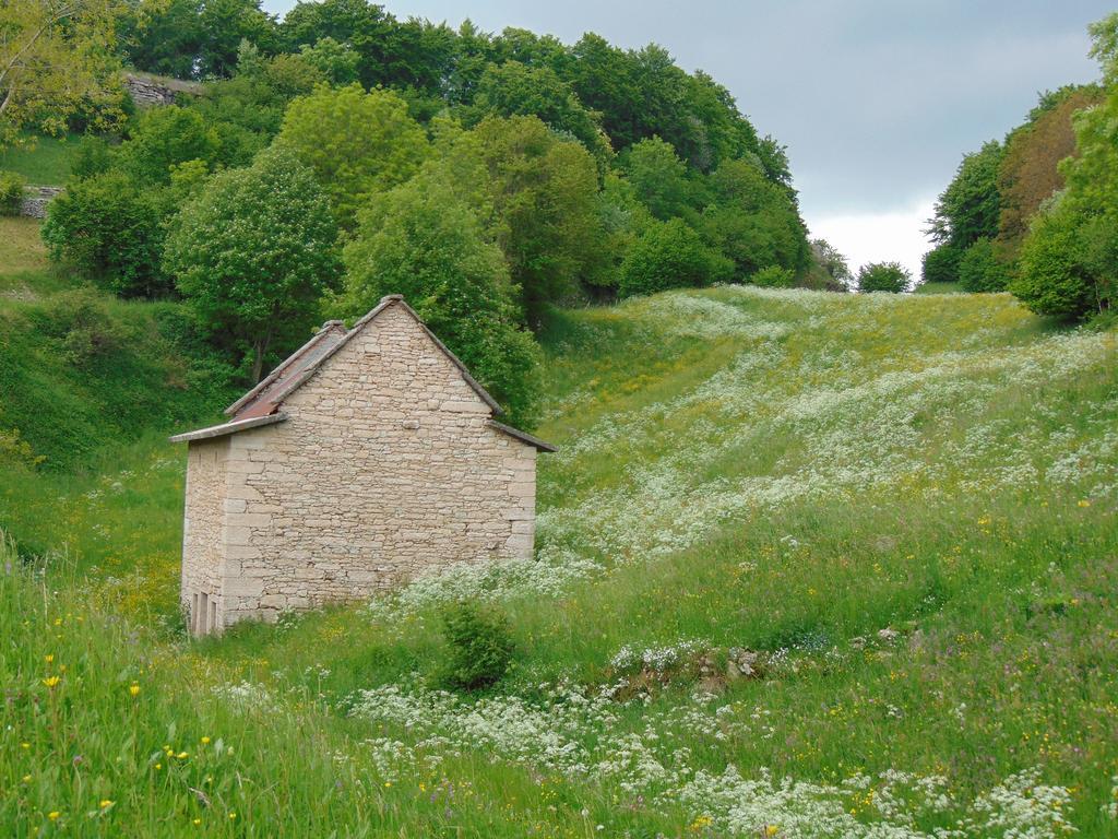Campeggio Branchetto Hotel Bosco Chiesanuova Buitenkant foto